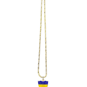Cadena plata